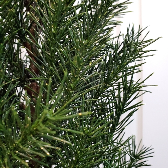 New 4pc Holiday Bundle. - Picture 15 of 15